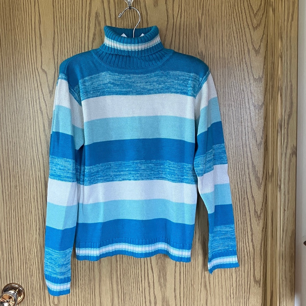 Striped Turtleneck Sweater in Blue and White